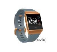 Смарт-часы Fitbit Ionic watch Slate Blue/Burnt Orange One Size (FB503CPBU)