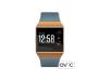 Смарт-часы Fitbit Ionic watch Slate Blue/Burnt Orange One Size (FB503CPBU)