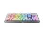 Клавиатура Razer Black Widow X CHROMA Mercury Edition (RZ03-01762000-R3M1)