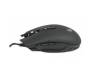 Мышь A4tech Bloody Q80 Neon XGlide USB Black