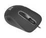 Мышь Defender Datum MM-070 Black (52070)