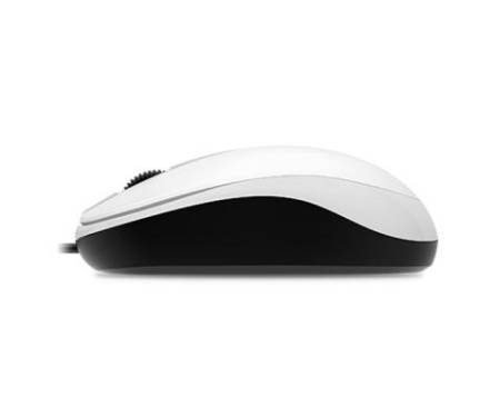Мышь Genius DX-120 USB White (31010105102)