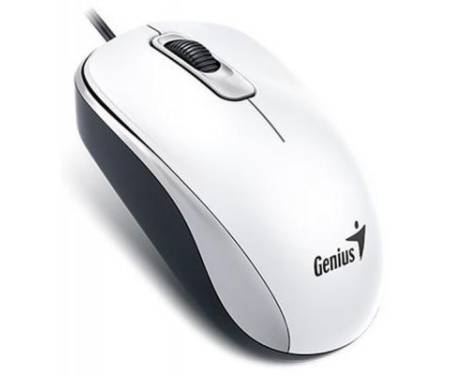 Мышь Genius DX-110 USB White (31010116102)