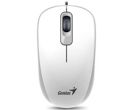 Мышь Genius DX-110 USB White (31010116102)