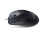 Мышь Genius NS-120 USB Black (31010235100)