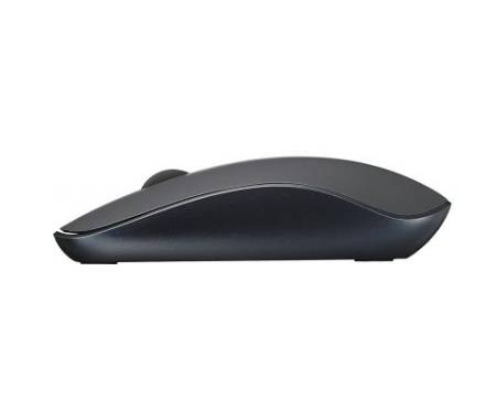 Мышь RAPOO 3510 grey
