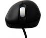 Мышь Zowie EC1-A, Black (4712702160475)