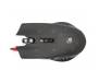 Мышь A4Tech P81 Bloody Starlight Black USB