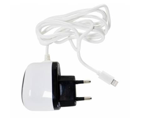 Сетевое зарядное устройство PowerPlant White (DV00DV5040)