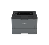 Принтер Brother HL-L5200DW