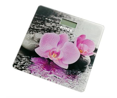 Весы напольные Rotex RSB15-P