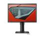 BenQ BL2411PT (9H.L99LA.TBE)