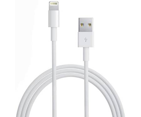 Сетевое зарядное устройство LDNIO DL-AC50 Travel charger 1USB 1A + Lightning cable White