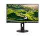 Acer XF250QAbmiidprzx (UM.KX0EE.A01)