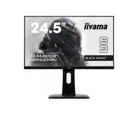 Iiyama G-Master Black Hawk GB2530HSU-B1