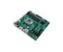 ASUS PRIME B360M-C