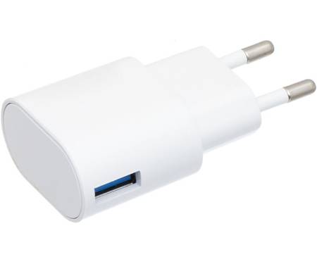 Зарядное устройство INKAX CD-24 Travel charger + Type-C cable 1USB 2.1A White