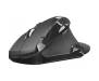 Мышь Trust Vergo Wireless ergonomic comfort (21722)