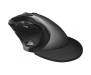Мышь Trust Vergo Wireless ergonomic comfort (21722)