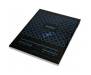 Электроплитка Rotex RIO240-G