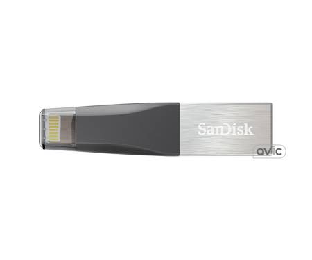 SanDisk 32 GB iXpand Mini (SDIX40N-032G-GN6NN)