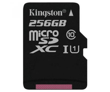 Карта памяти Kingston 256GB microSDXC Class 10 UHS-I (SDC10G2/256GBSP)