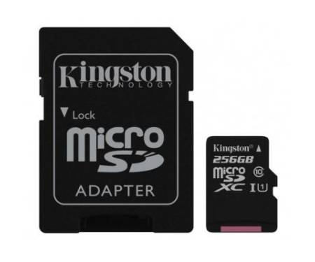 Карта памяти Kingston 256GB microSDXC class 10 UHS-I Canvas Select (SDCS/256GB)