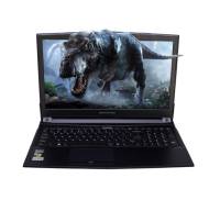 Dream Machines Clevo G1050Ti-15 (G1050TI-15UA29)