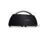 Колонка Harman-Kardon Go Play Mini Black (HKGOPLAYMINIBLKEU)