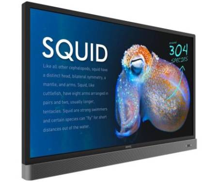 LCD панель BENQ RP553K Black (9H.F3TTK.RE1)
