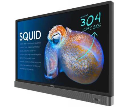 LCD панель BENQ RP553K Black (9H.F3TTK.RE1)