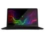 Razer Blade Stealth 13 (RZ09-01962E10-R3U1)