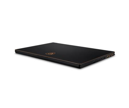 MSI GS65 8RE Stealth Thin (GS65 8RE-249FR) 