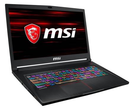 MSI GS73-8RE (GS738RE-046UA)