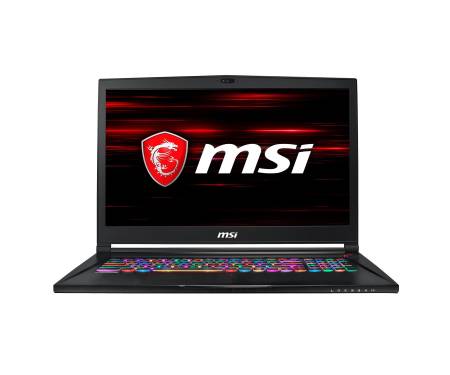 MSI GS73-8RE (GS738RE-046UA)