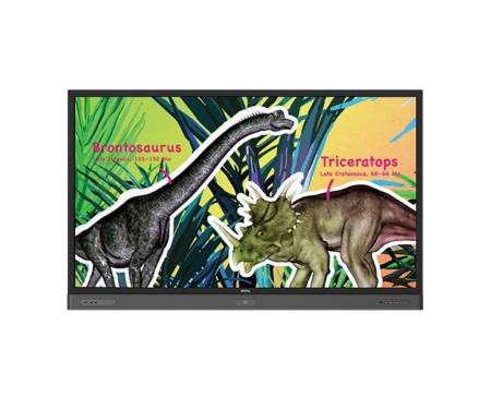 BenQ RP704K Black (9H.F3JTC.DE1)