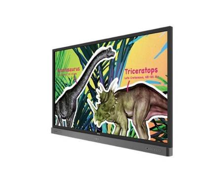 BenQ RP704K Black (9H.F3JTC.DE1)