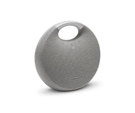 Harman/Kardon Onyx Studio 5 Grey (HKOS5GRYEU)