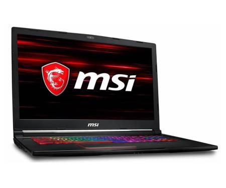 MSI GE73 8RF Raider RGB (GE738RF-676)