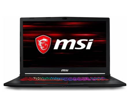 MSI GE73 8RF Raider RGB (GE738RF-676)