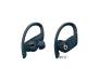 Beats by Dr. Dre Powerbeats Pro Navy (MV702)
