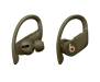Наушники Beats by Dr. Dre Powerbeats Pro Moss (MV712)
