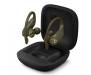 Наушники Beats by Dr. Dre Powerbeats Pro Moss (MV712)