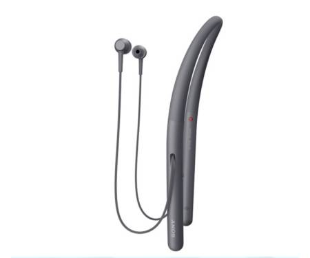 Sony WI-H700 Black