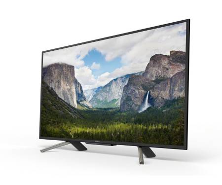 Телевизор Sony KDL43WF665BR