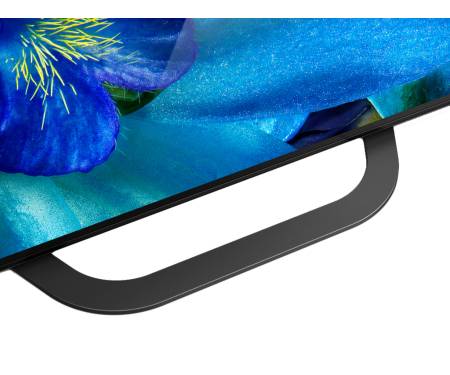 Телевизор Sony KD55AG8BR2
