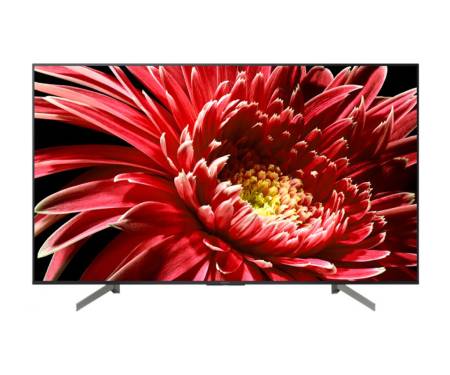 Телевизор Sony KD55XG8596BR