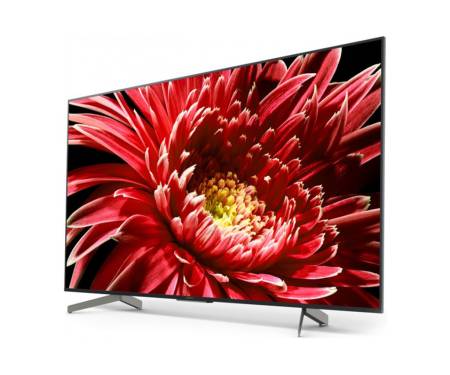 Телевизор Sony KD55XG8596BR