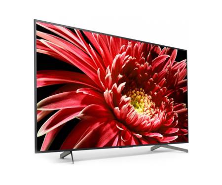 Телевизор Sony KD55XG8596BR