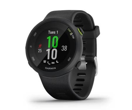 Спортивные часы Garmin Forerunner 45 Black (010-02156-15)